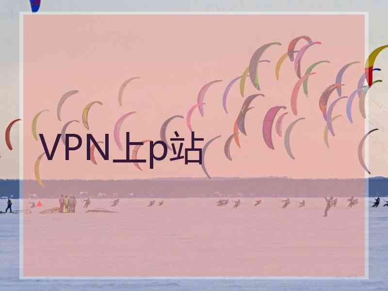 VPN上p站