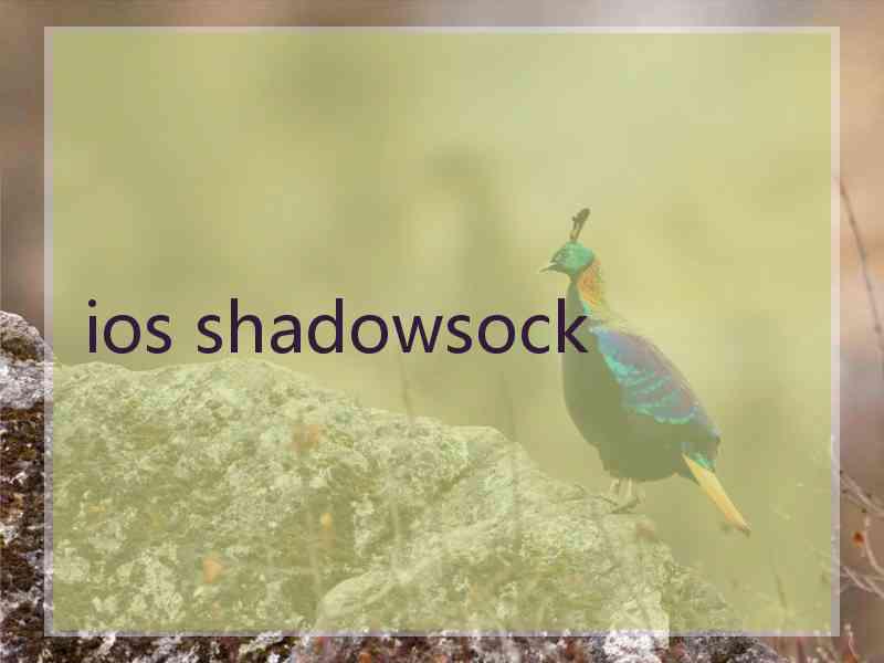 ios shadowsock