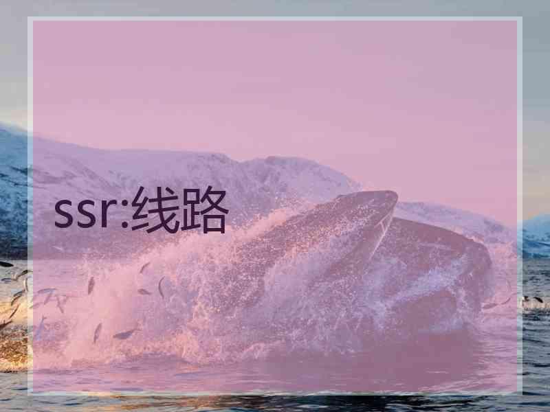 ssr:线路