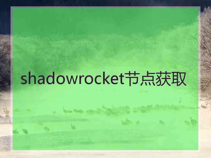 shadowrocket节点获取