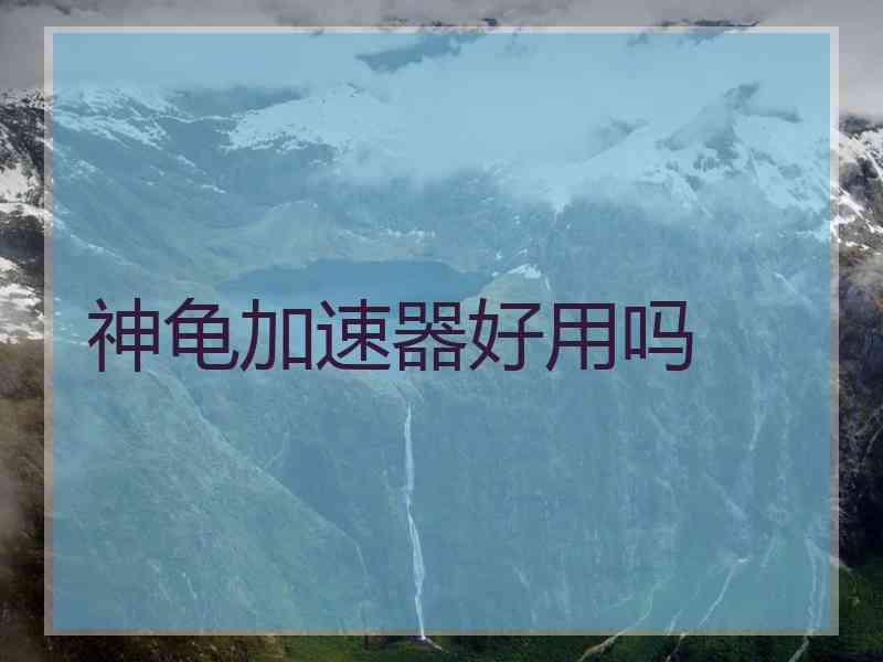 神龟加速器好用吗