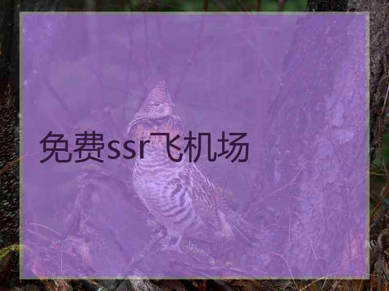 免费ssr飞机场