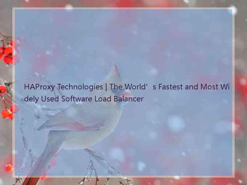 HAProxy Technologies | The World’s Fastest and Most Widely Used Software Load Balancer