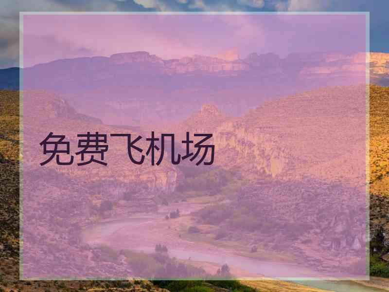 免费飞机场