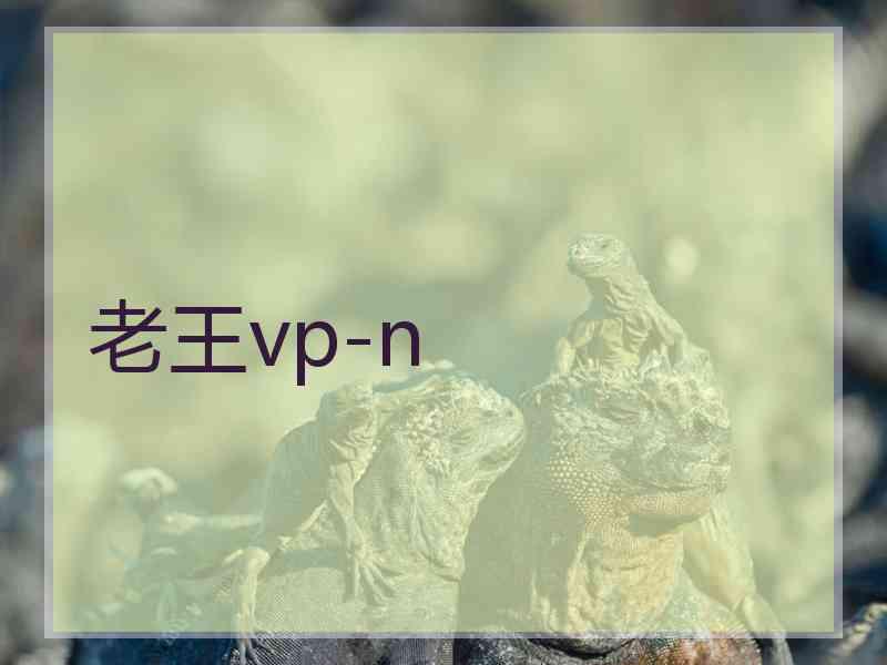老王vp-n
