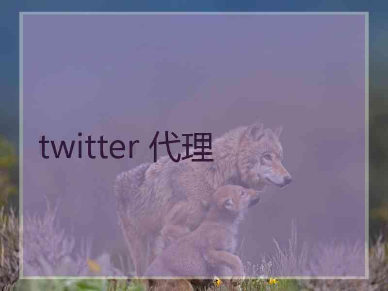 twitter 代理