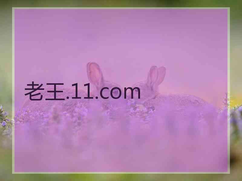 老王.11.com