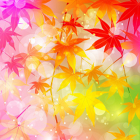 苹果手机vp