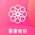 老王佛系加速器老