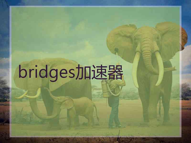 bridges加速器