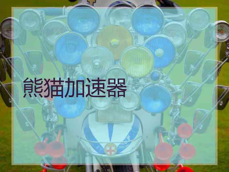 熊猫加速器