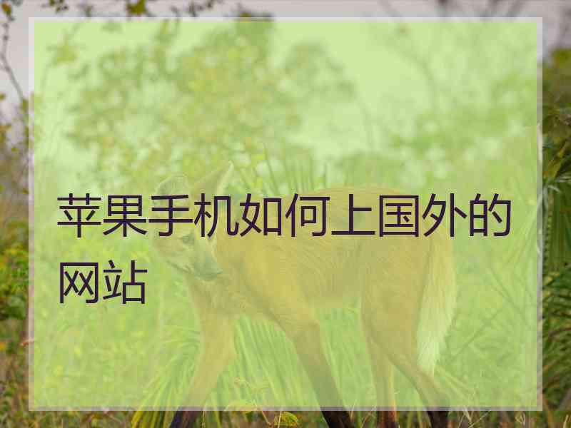 苹果手机如何上国外的网站