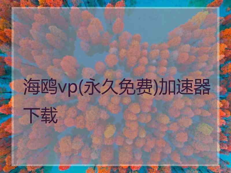 海鸥vp(永久免费)加速器下载