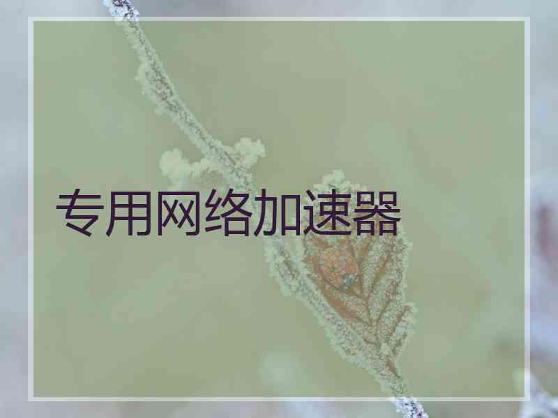 专用网络加速器