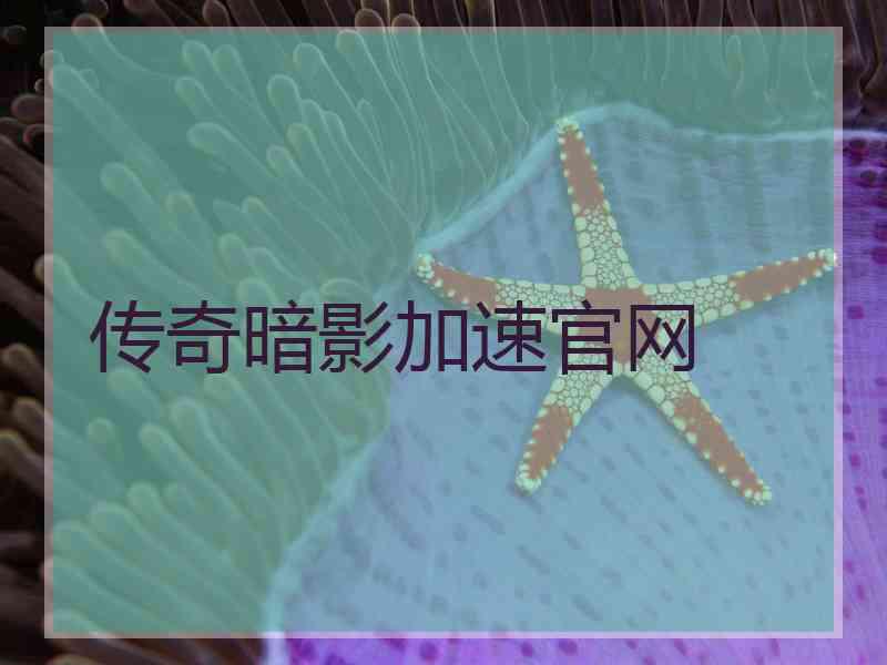 传奇暗影加速官网