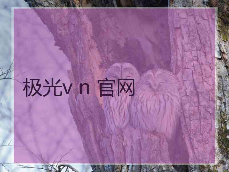极光v n 官网