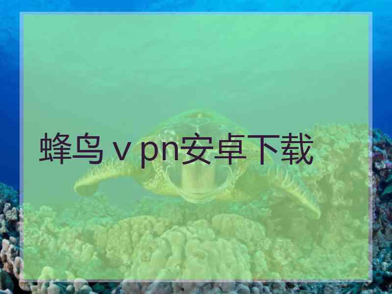 蜂鸟ⅴpn安卓下载