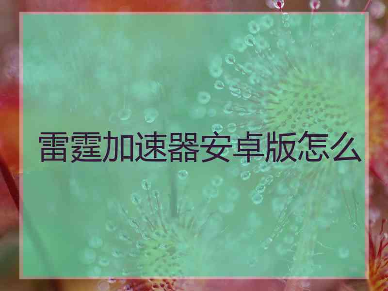 雷霆加速器安卓版怎么