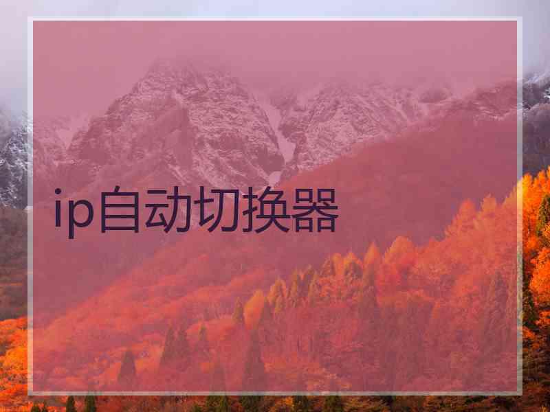 ip自动切换器