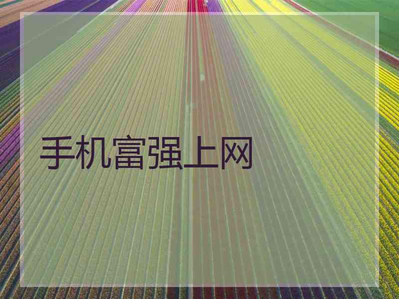 手机富强上网