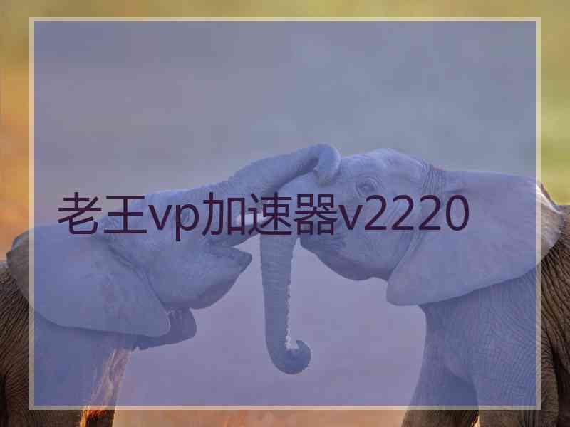 老王vp加速器v2220