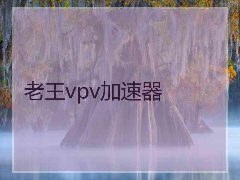 老王vpv加速器