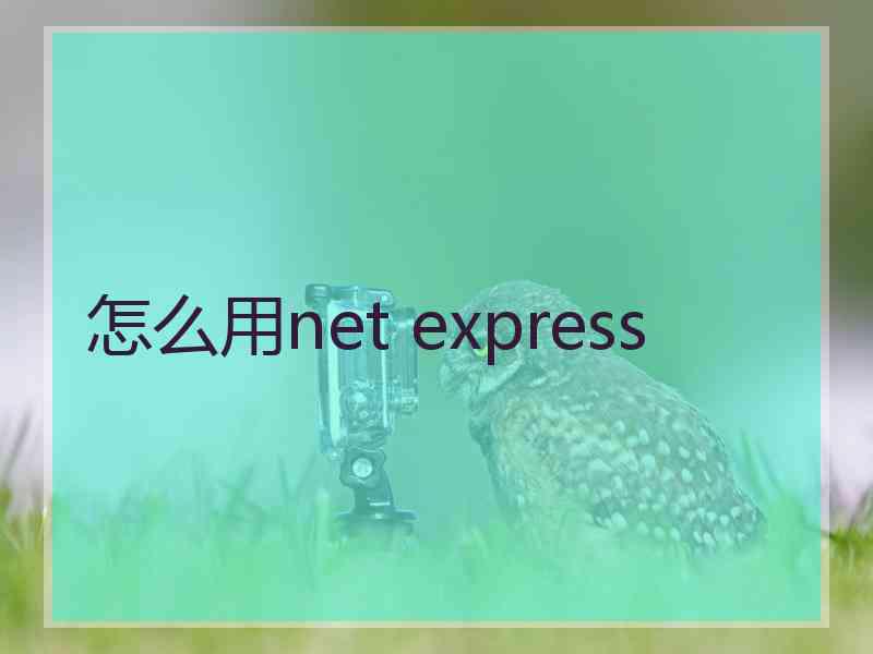 怎么用net express