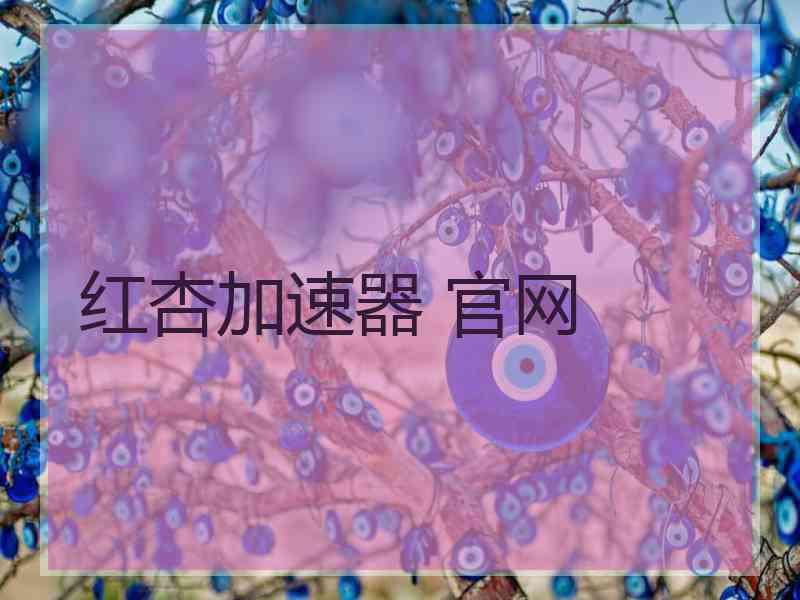 红杏加速器 官网