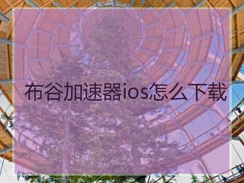 布谷加速器ios怎么下载