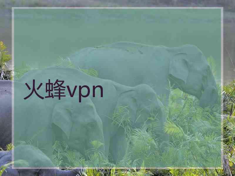 火蜂vpn
