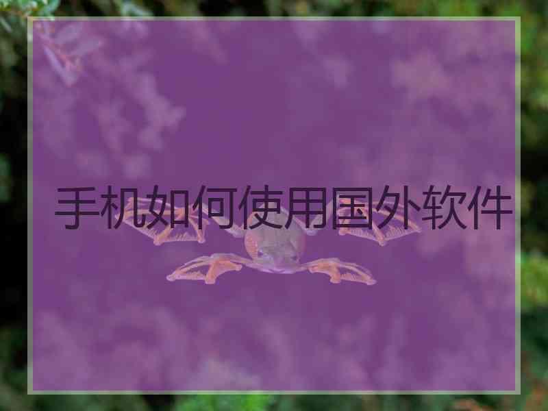 手机如何使用国外软件