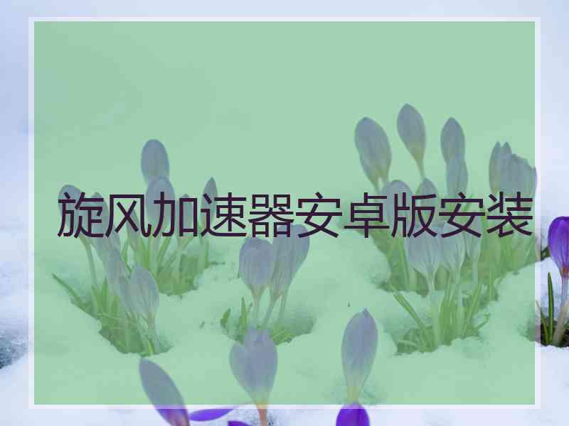 旋风加速器安卓版安装