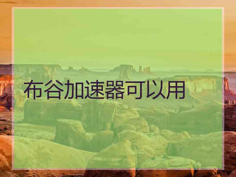 布谷加速器可以用