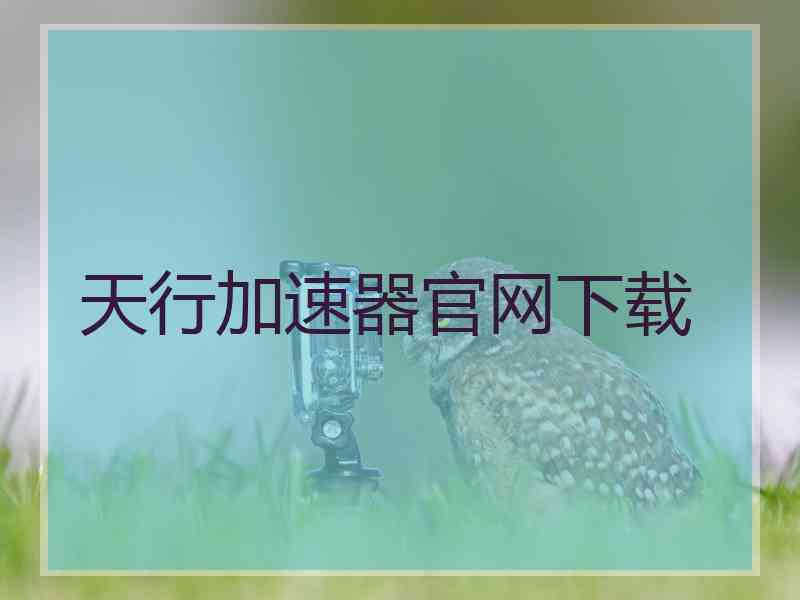 天行加速器官网下载