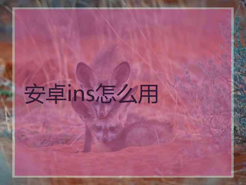 安卓ins怎么用