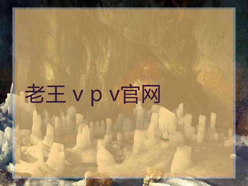 老王 v p v官网