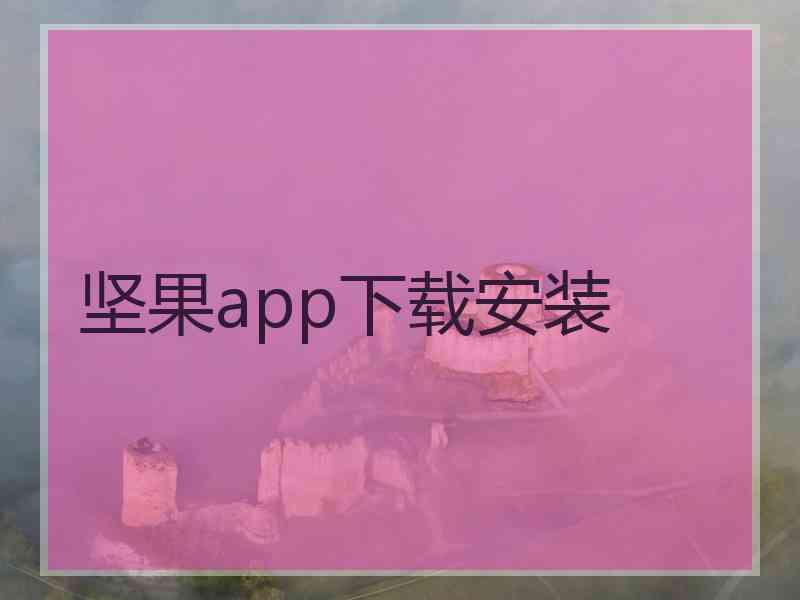 坚果app下载安装