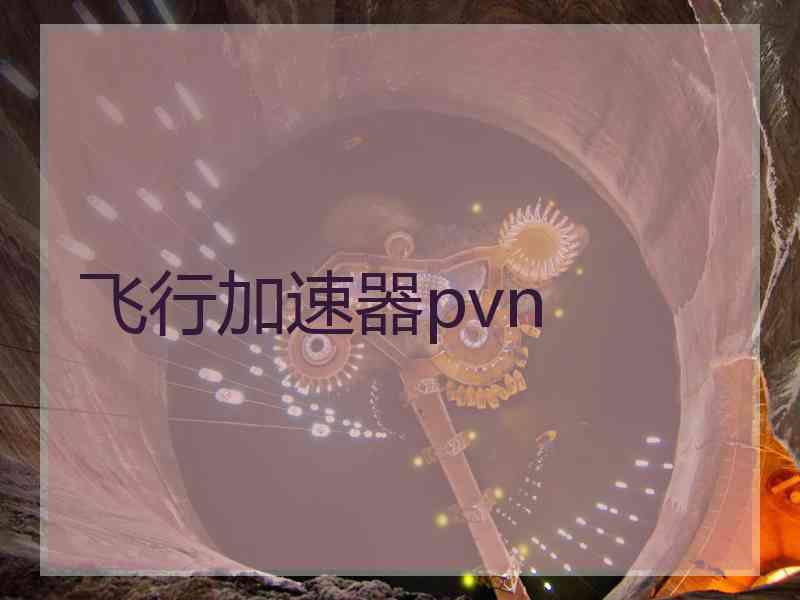 飞行加速器pvn