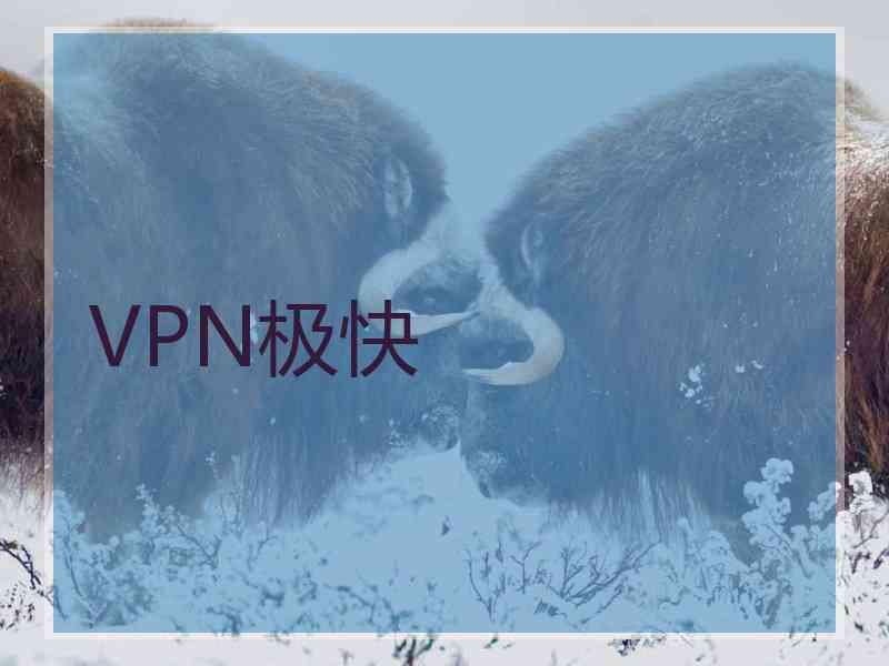 VPN极快