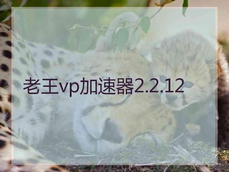 老王vp加速器2.2.12