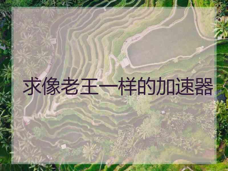 求像老王一样的加速器