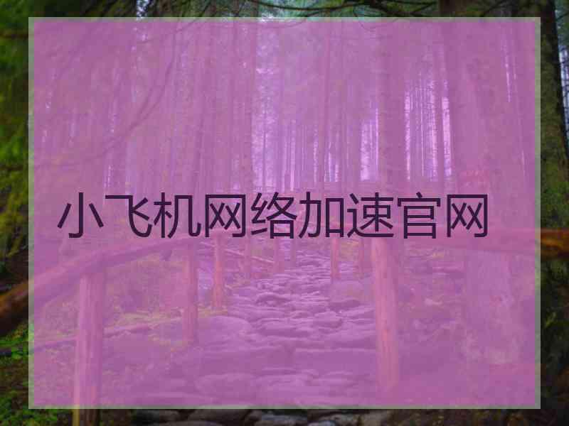 小飞机网络加速官网