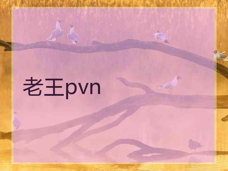 老王pvn