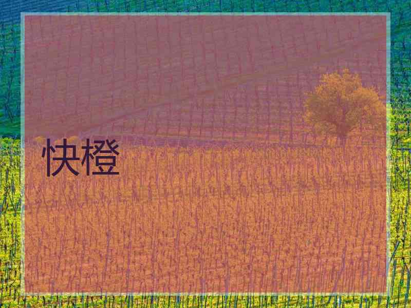 快橙