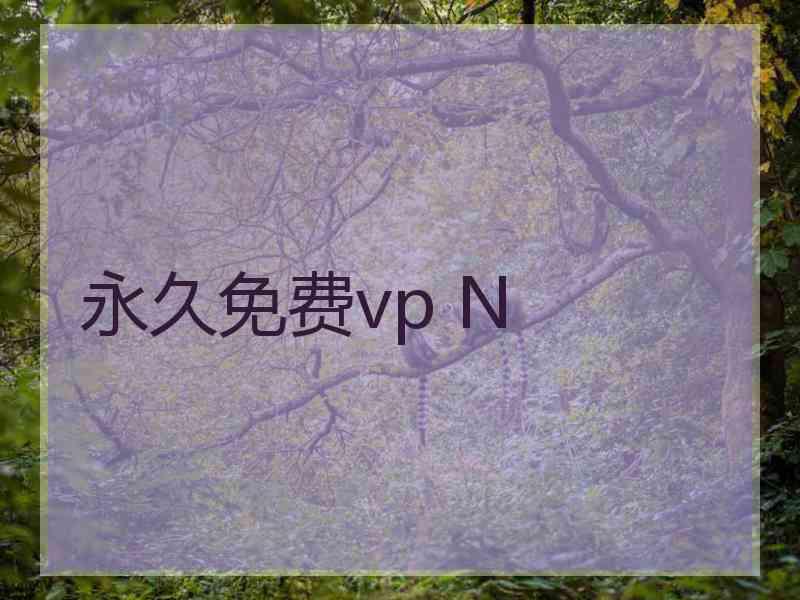 永久免费vp N