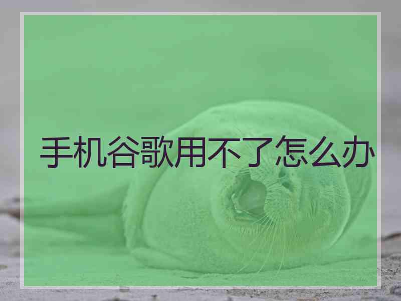 手机谷歌用不了怎么办