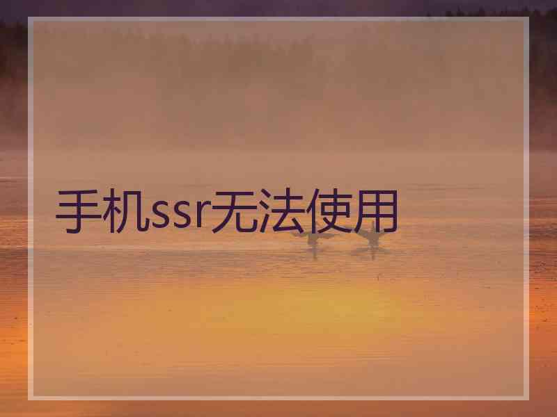 手机ssr无法使用