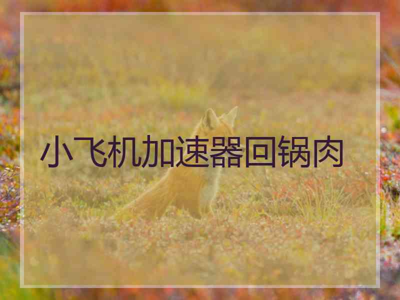 小飞机加速器回锅肉