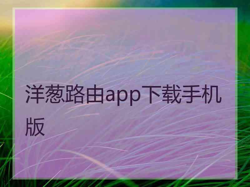 洋葱路由app下载手机版