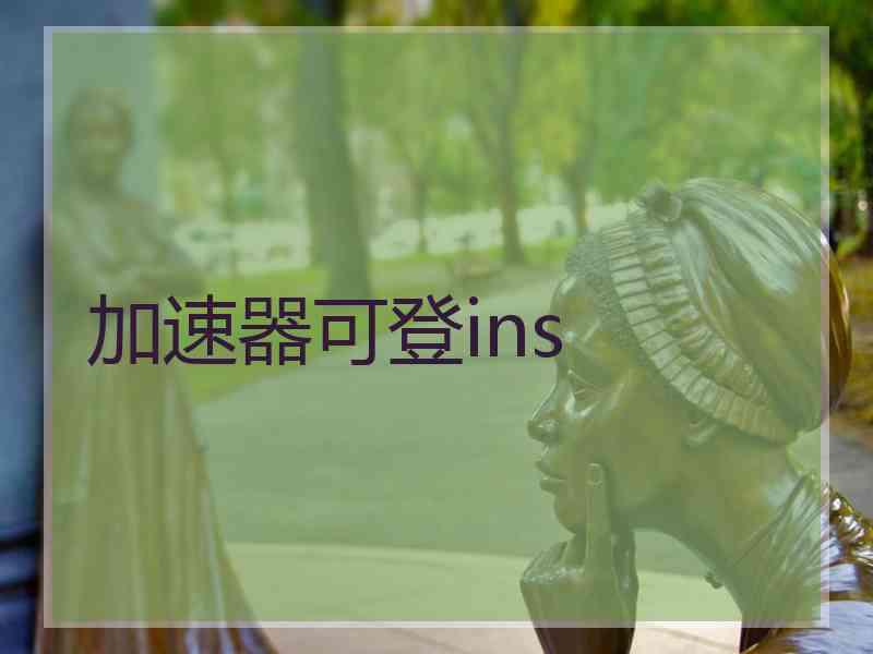 加速器可登ins